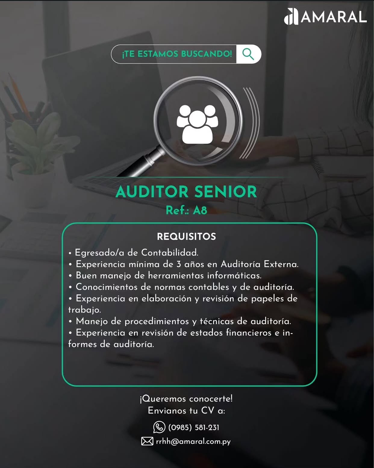 Oferta laboral: Auditor Senior — Amaral