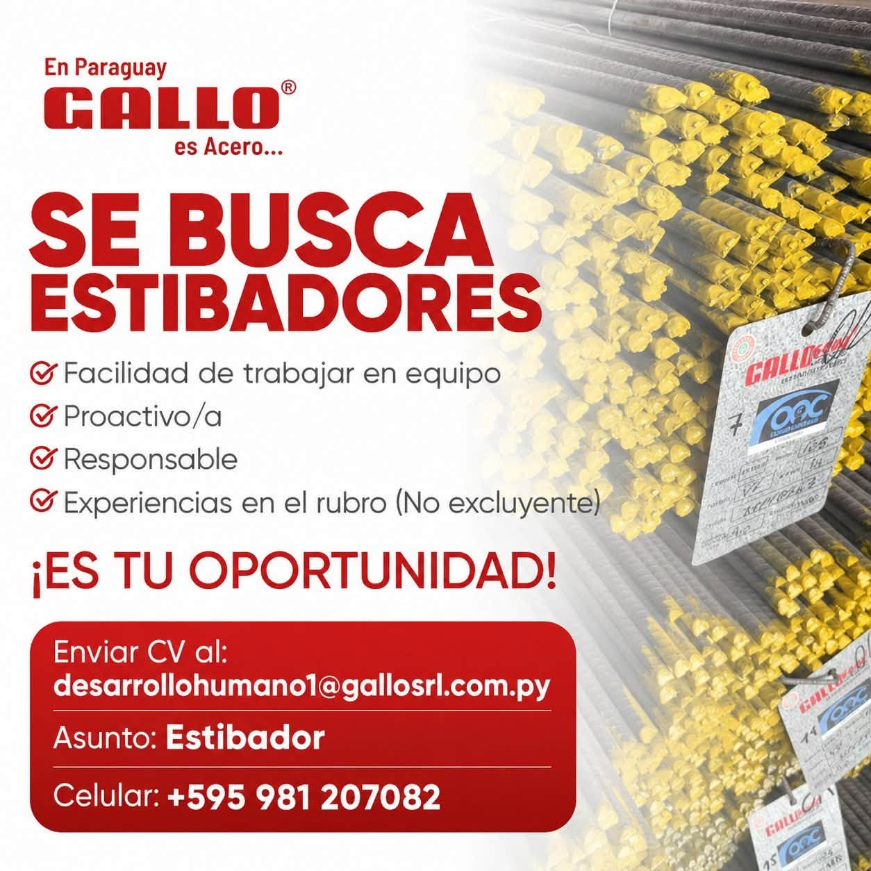 Oferta laboral: Estibador — Gallo SRL