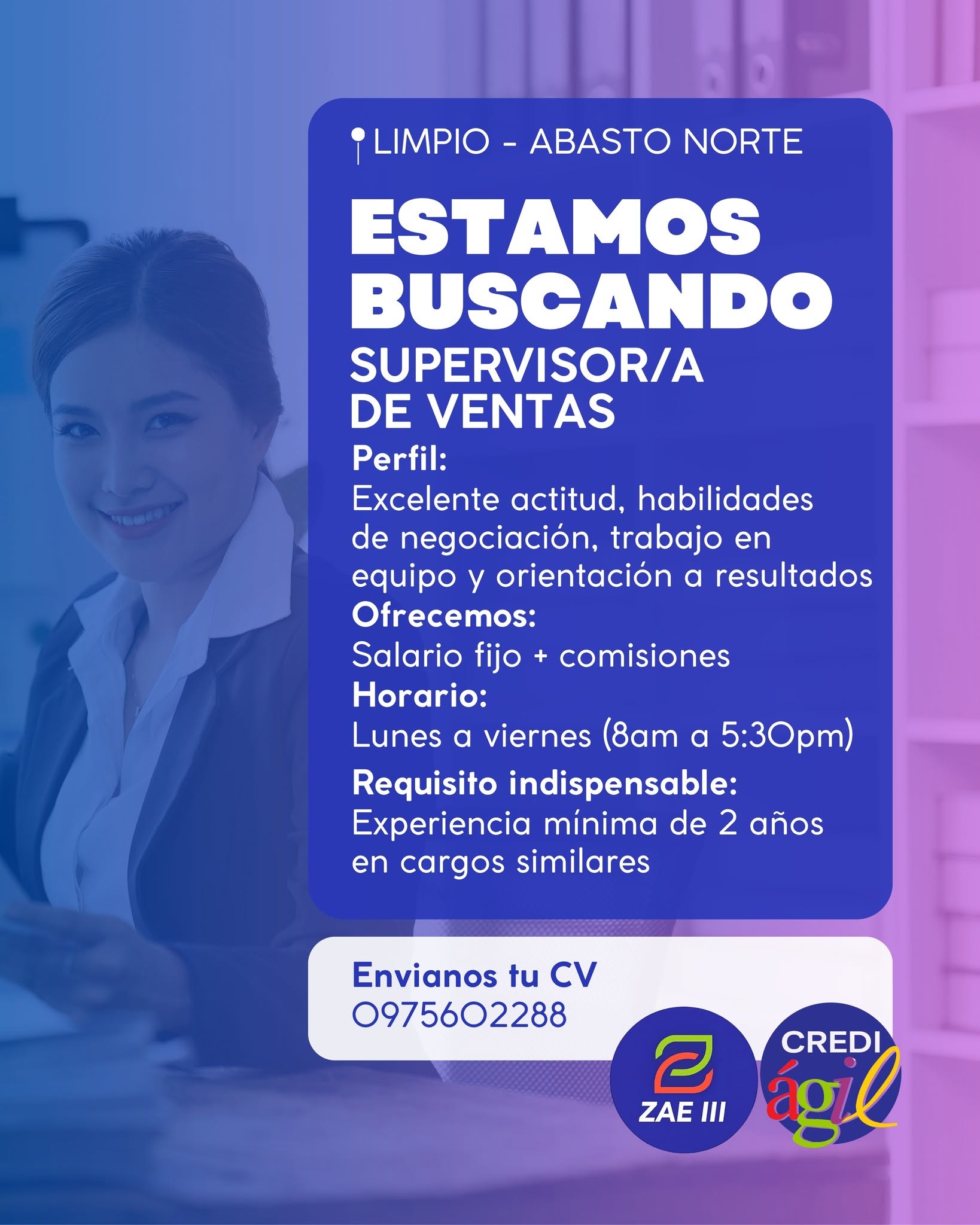 Oferta laboral: Supervisor De Ventas