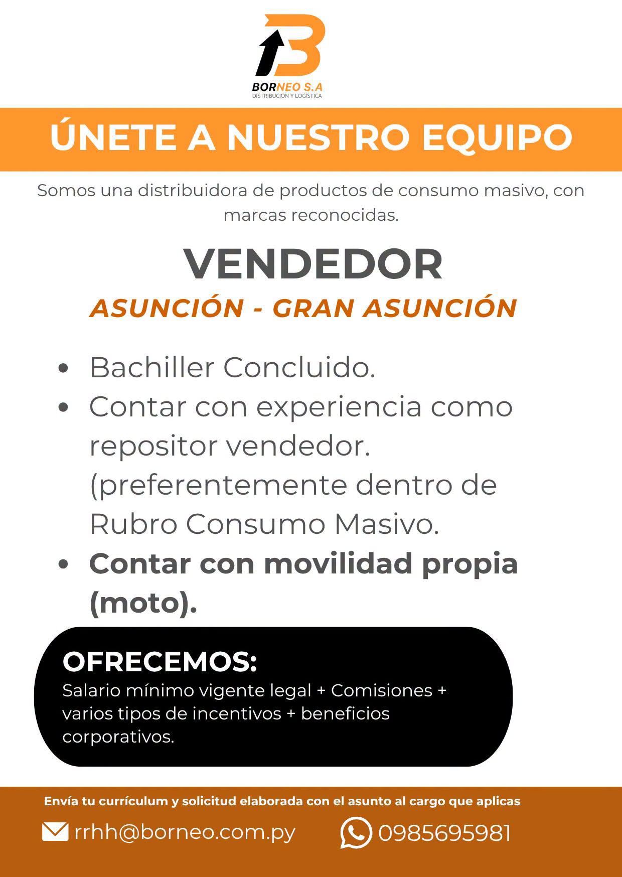 Oferta laboral: Vendedor — Borneo SA